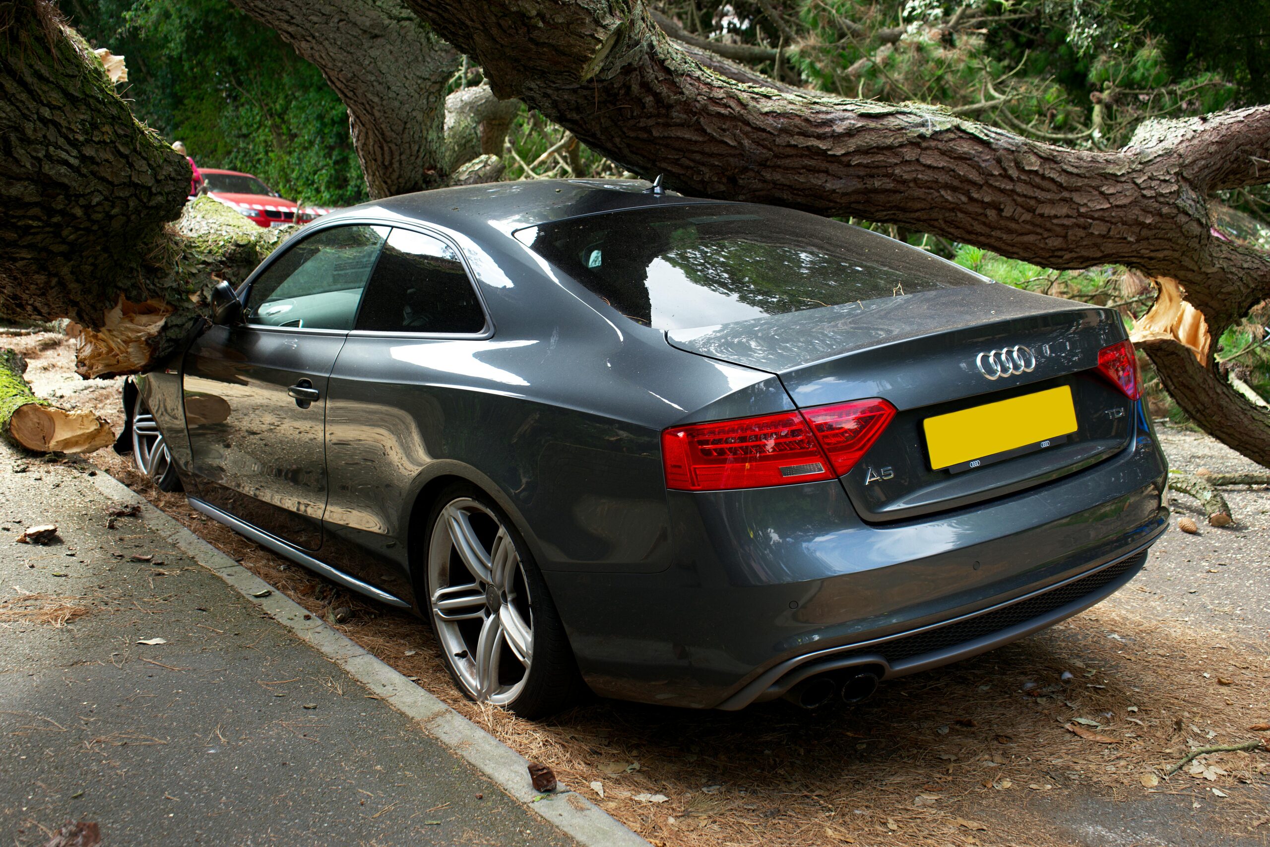 Gray Audi A5 car damaged by fallen tree branch, illustrating the aftermath of a car accident relevant to personal injury law in Oakwell Farms.
