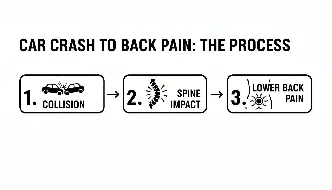 An illustration showing the three-step process from car collision to spine impact, leading to lower back pain.